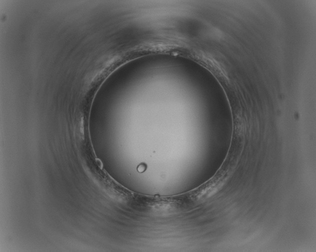 X0000073870358200608171013