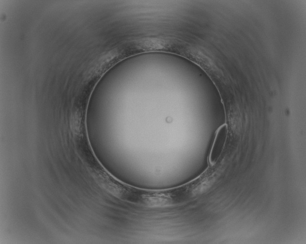 X0000073870359200608171013