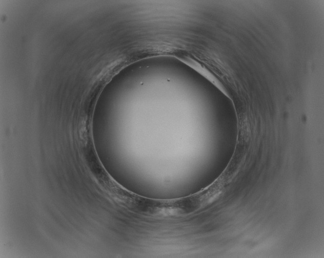 X0000073870360200608171013