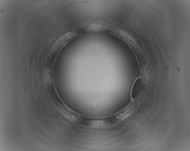 X0000073870361200608171013