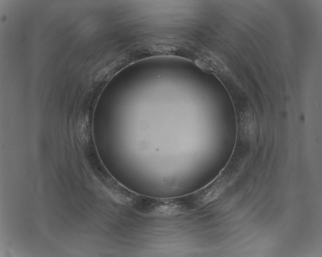 X0000073870364200608171013