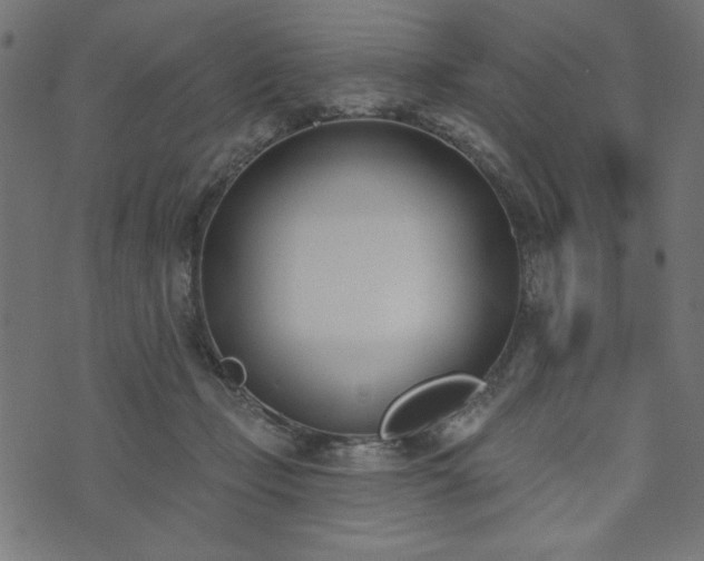 X0000073870365200608171013