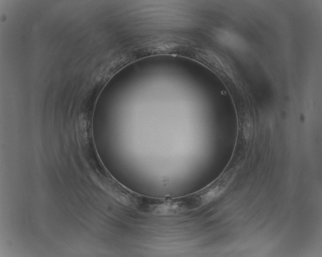 X0000073870366200608171013