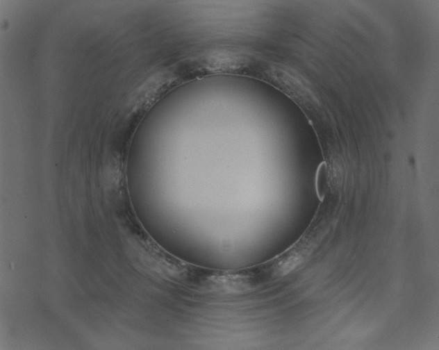 X0000073870367200608171013