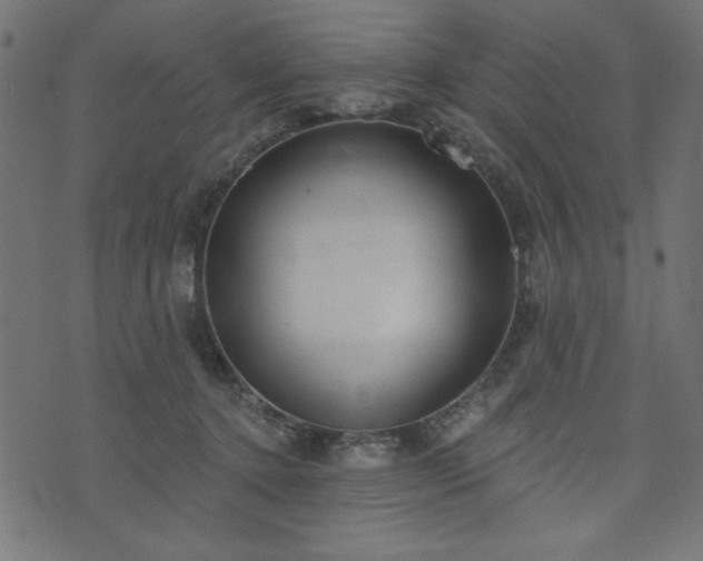 X0000073870368200608171013