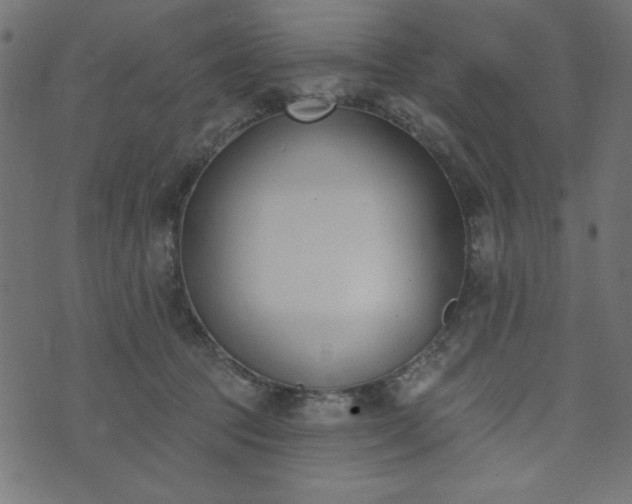 X0000073870369200608171013