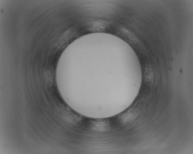 X0000073870370200608171013