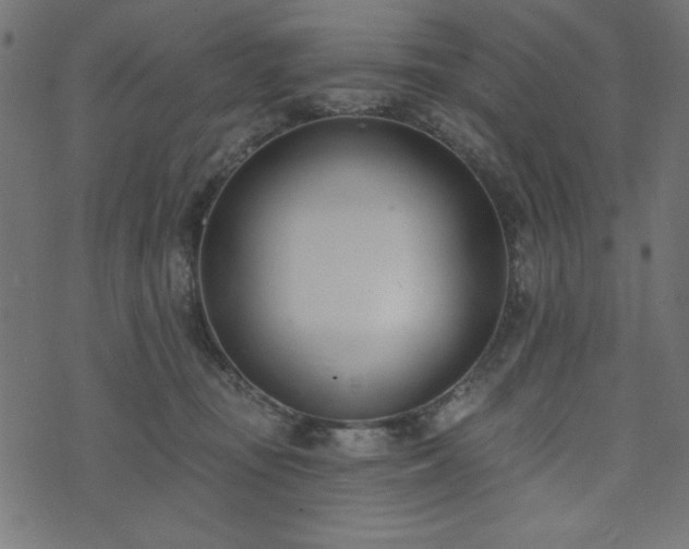 X0000073870371200608171013