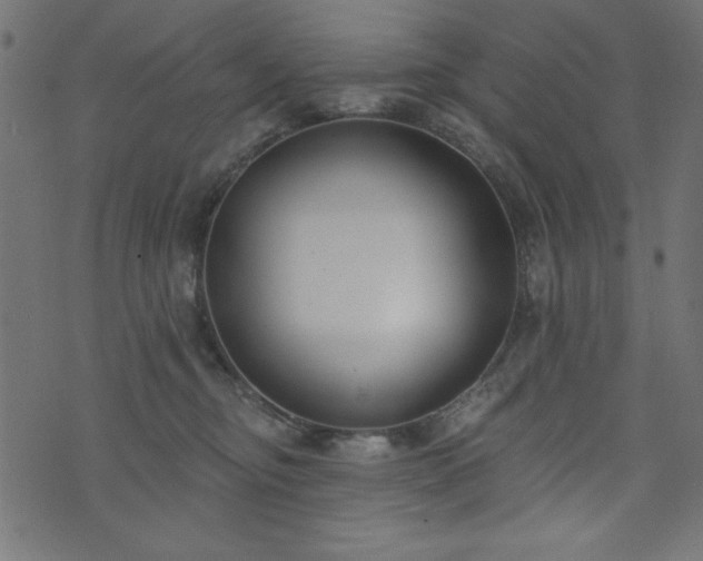 X0000073870374200608171013