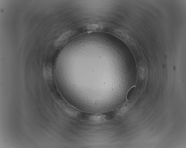 X0000073870375200608171013