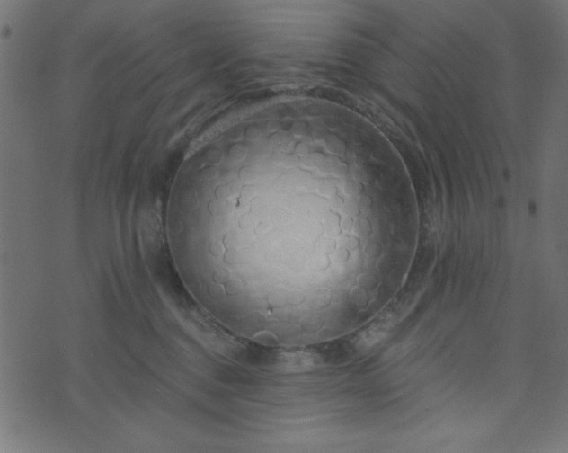 X0000073870376200608171013