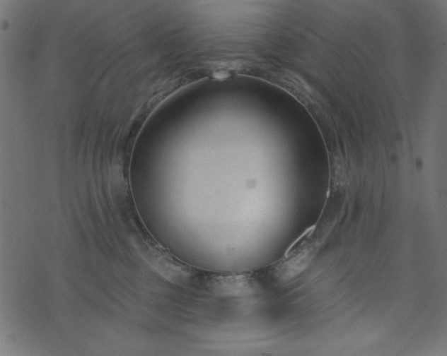 X0000073870377200608171013