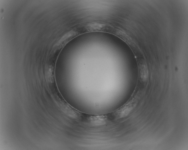 X0000073870378200608171013