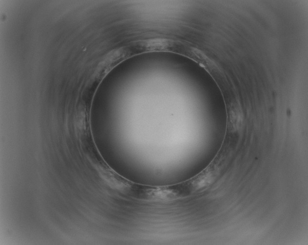 X0000073870379200608171013