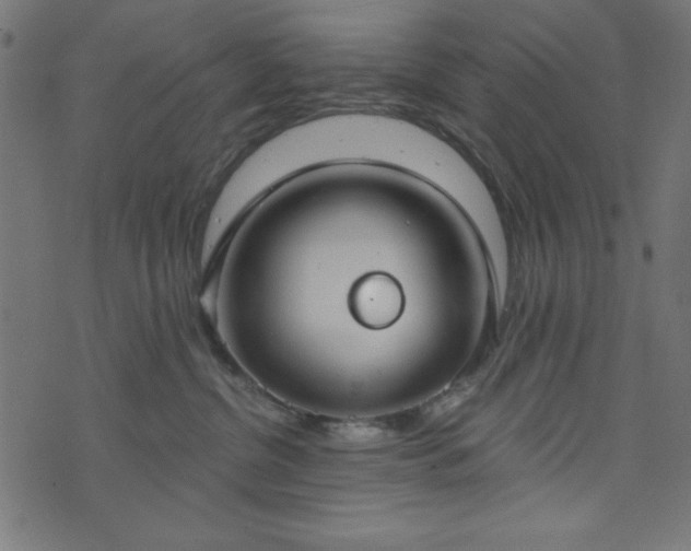 X0000073870380200608171014