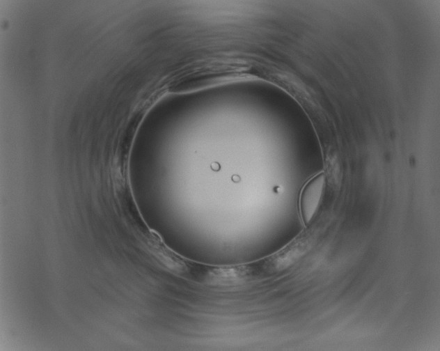 X0000073870381200608171014