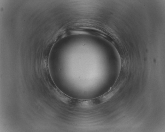 X0000073870382200608171014