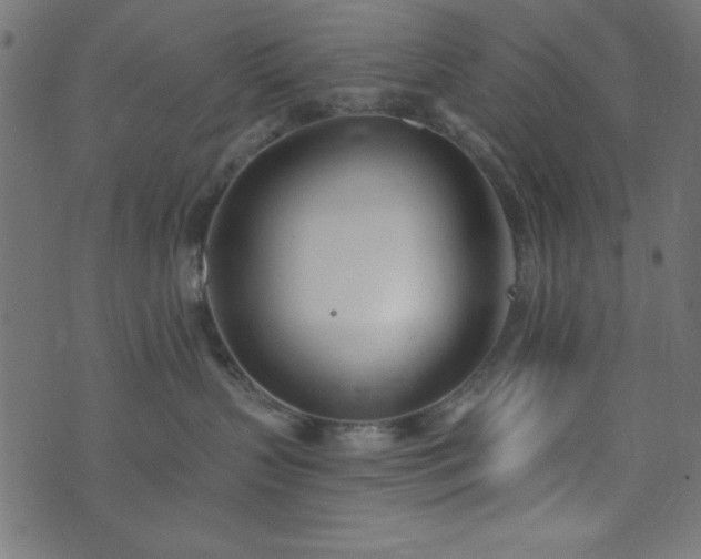 X0000073870383200608171014