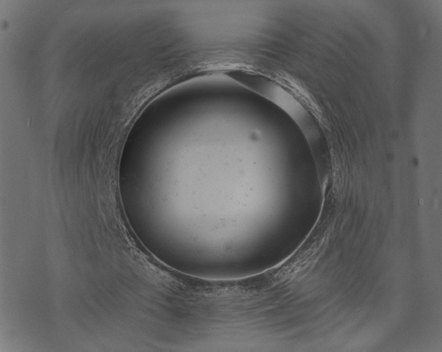 X0000073870385200608171013