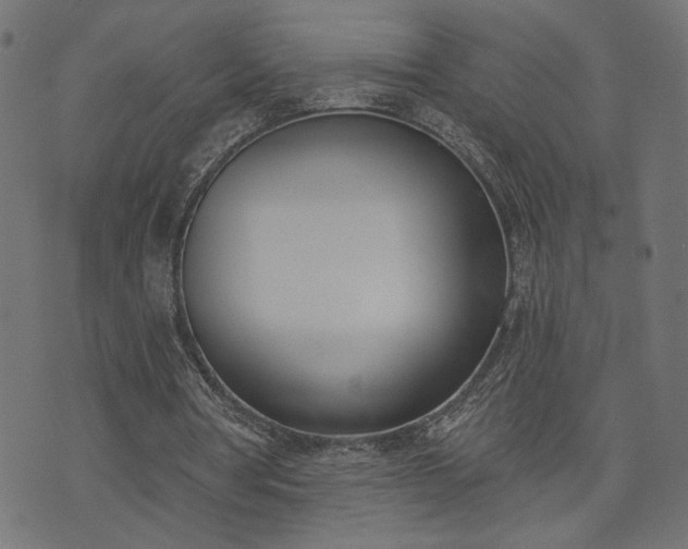 X0000073870386200608171013