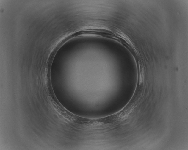 X0000073870387200608171013