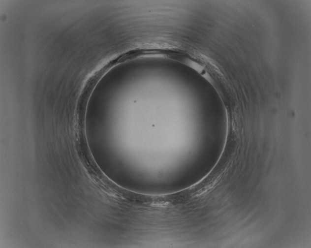 X0000073870388200608171013