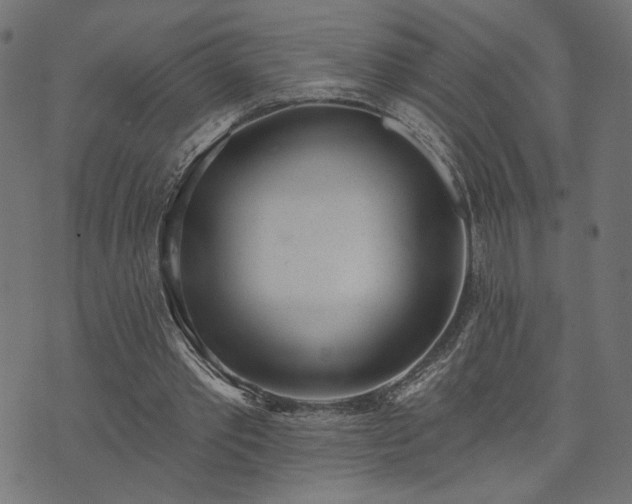 X0000073870389200608171013