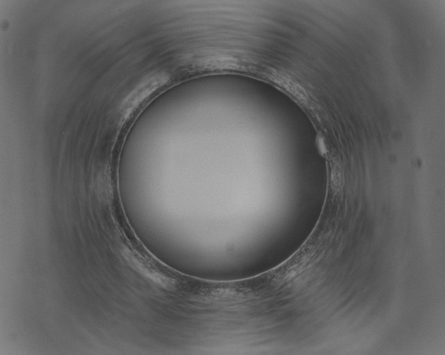 X0000073870390200608171013