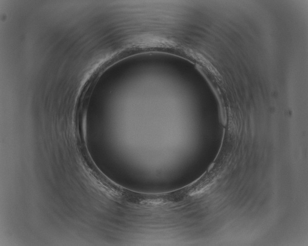 X0000073870391200608171013