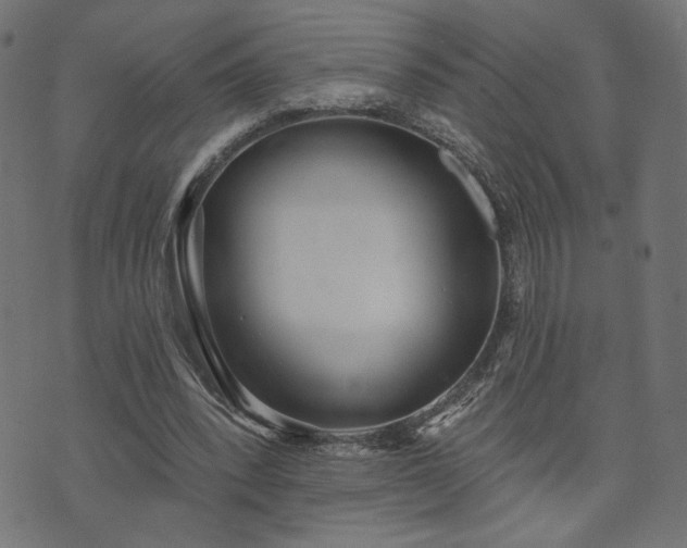 X0000073870392200608171013