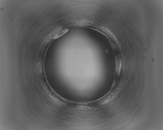 X0000073870393200608171013