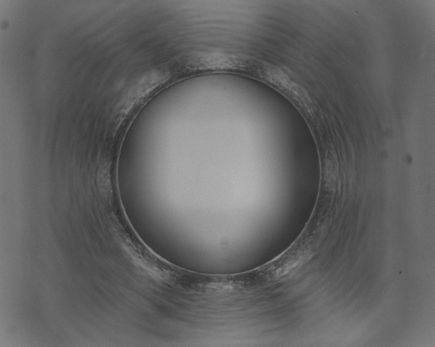 X0000073870394200608171013