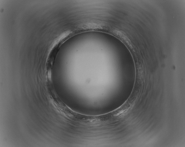 X0000073870395200608171013