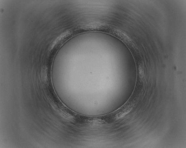 X0000073870396200608171013