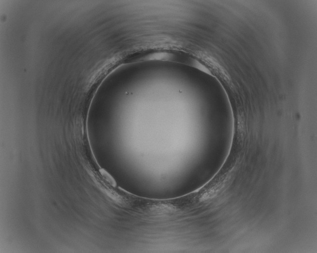 X0000073870397200608171013