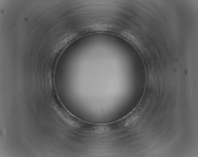 X0000073870398200608171013