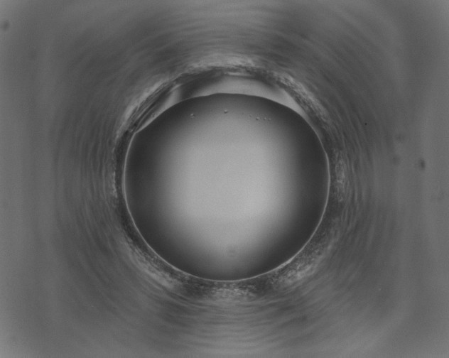 X0000073870399200608171013