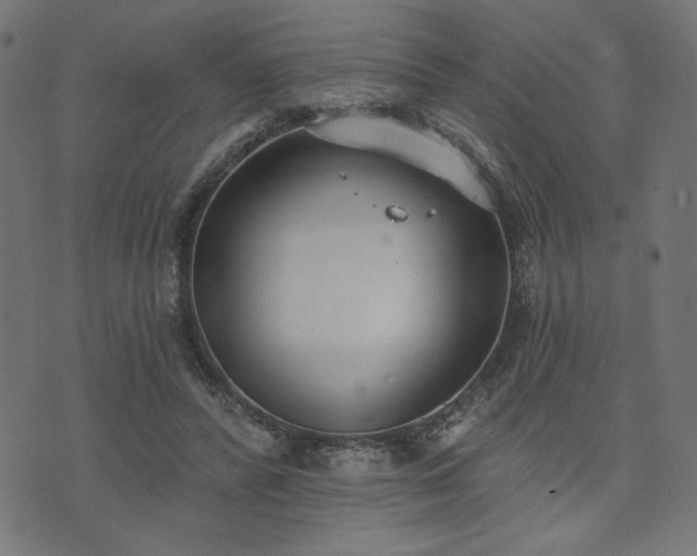 X0000073870400200608171013