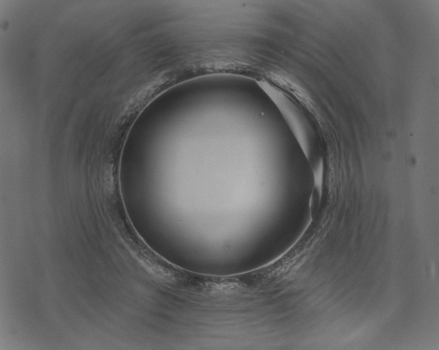 X0000073870401200608171013