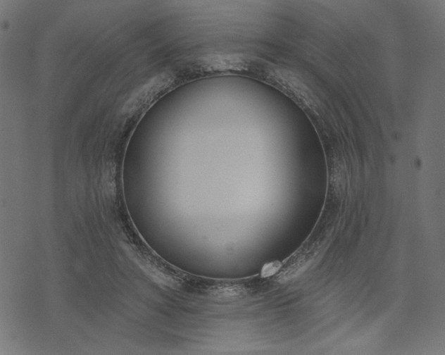 X0000073870402200608171013