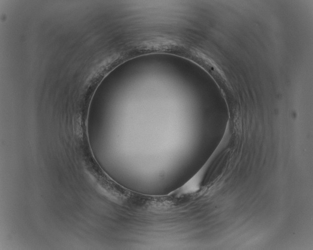 X0000073870403200608171013