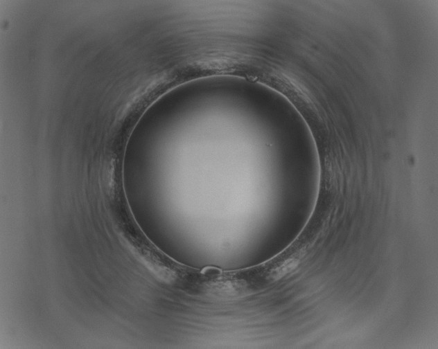 X0000073870404200608171012