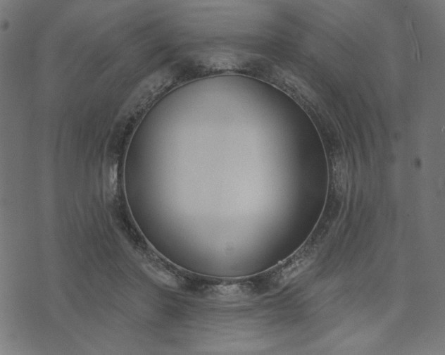 X0000073870406200608171012