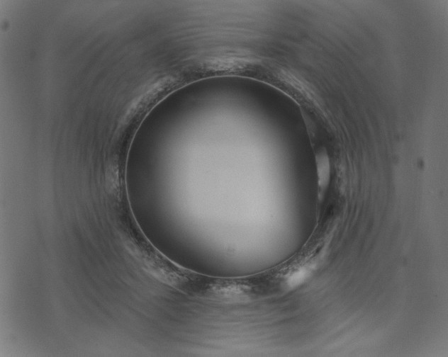 X0000073870407200608171012