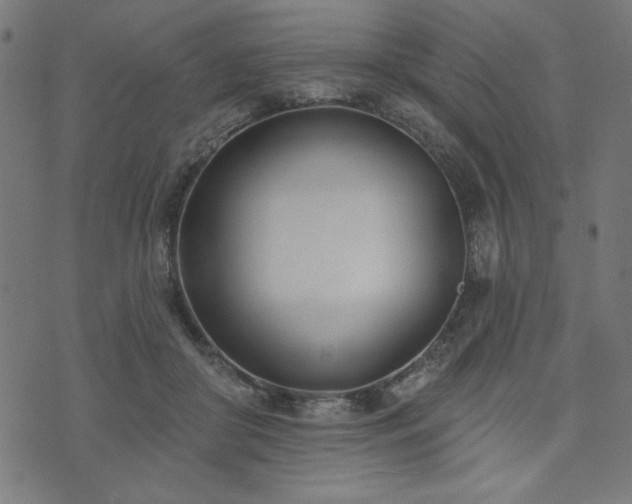 X0000073870410200608171012