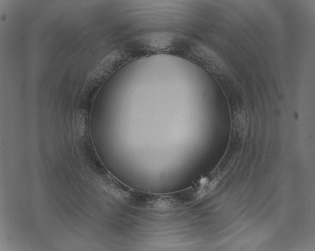 X0000073870412200608171012