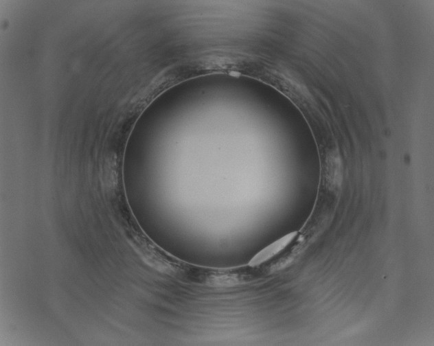 X0000073870413200608171012