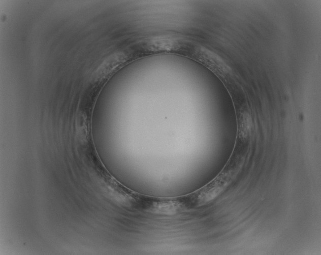 X0000073870414200608171012