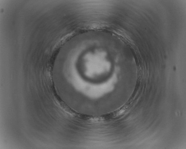 X0000073870415200608171012