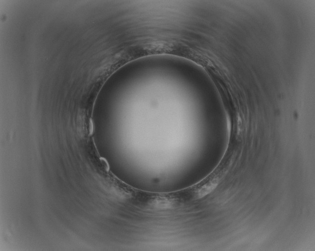 X0000073870416200608171012